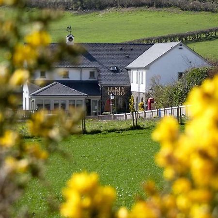 Llety Ceiro Guesthouse Aberystwyth Exteriör bild