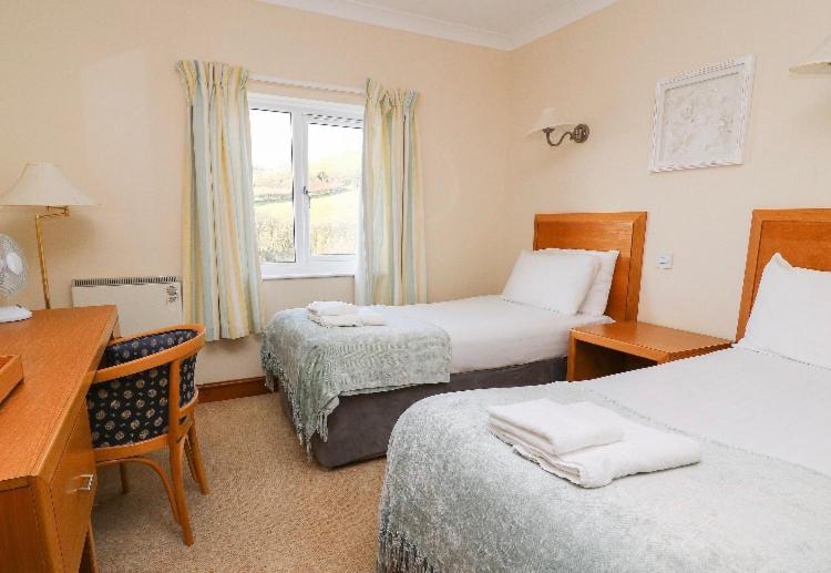 Llety Ceiro Guesthouse Aberystwyth Exteriör bild