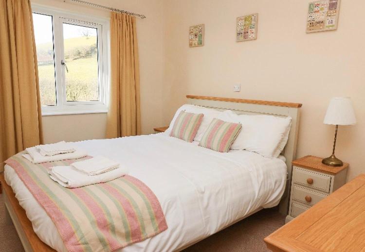 Llety Ceiro Guesthouse Aberystwyth Exteriör bild