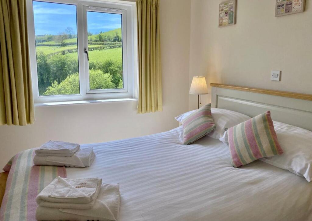 Llety Ceiro Guesthouse Aberystwyth Exteriör bild