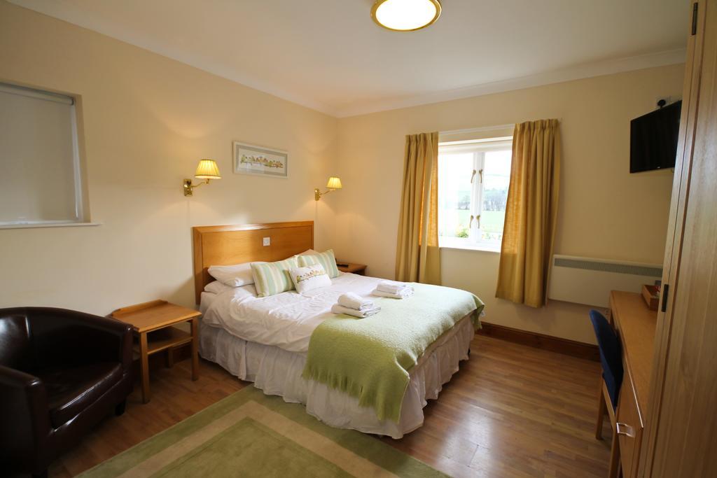 Llety Ceiro Guesthouse Aberystwyth Exteriör bild