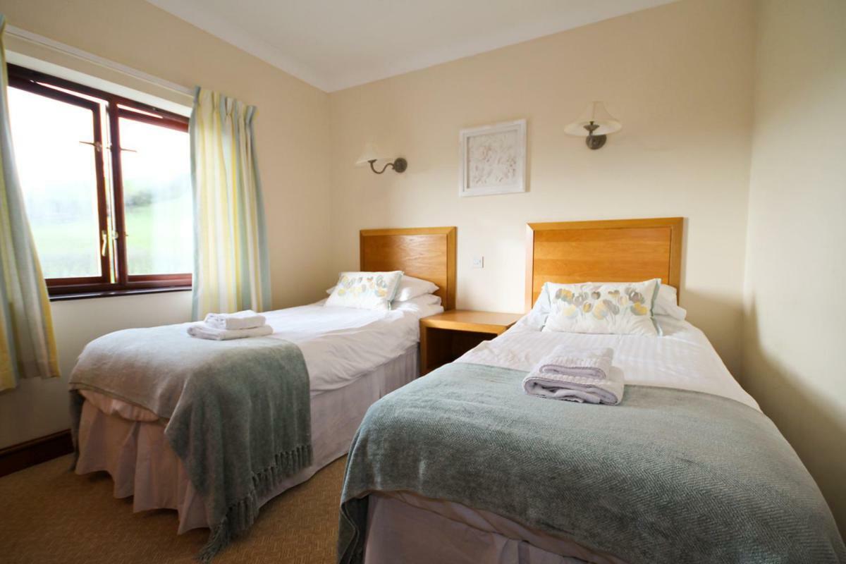 Llety Ceiro Guesthouse Aberystwyth Exteriör bild